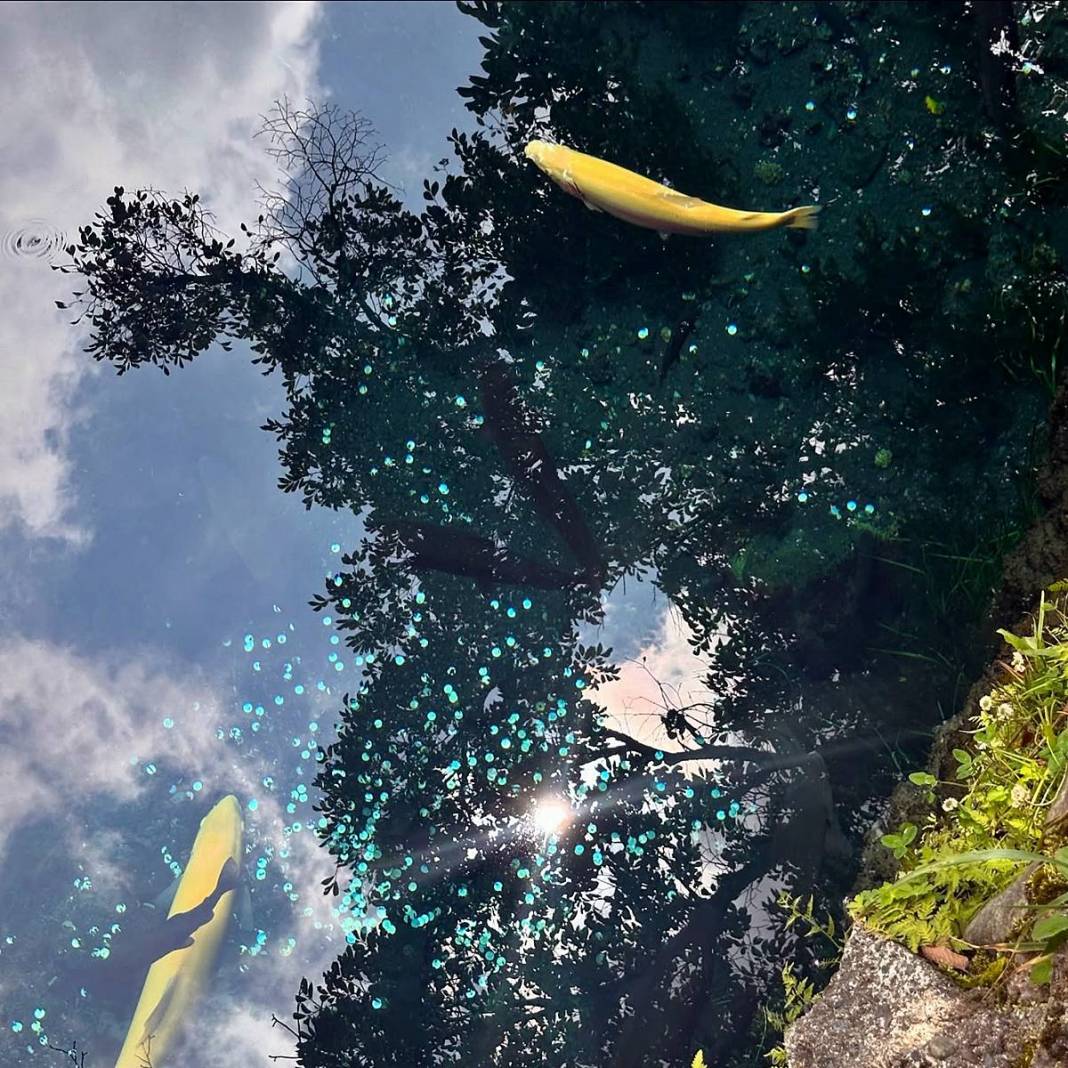 Japonya'da sevilen bir yabancı olun: Harika bir deneyim için altın kurallar! Gülümse ve kurallara uy 4